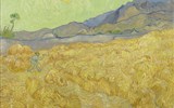 Van Gogh Museum - Holandsko - Amsterdam - van Goghovo museum, Pšeničné pole se žencem, 1889