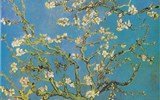 Van Gogh Museum - Holandsko - Amsterdam - van Goghovo museum, Kvetoucí větve mandlovníku, 1890