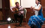 flamenco - Španělsko - flamenco bez kytary by nemohlo existovat