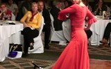 flamenco - Španělsko - flamenco - v ohnivém víru tance