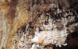 Grotta Gigante - Itálie - Grotta Gigante, objevil 1840 A.F.Lindner při hledání nových zdrojů podzemní vody pro Terst