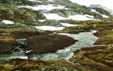 Norsko, zlatá cesta severu letecky 2023 - Norsko - mezi Dalsnibbou a Geirangerem, drsná krajina s nízkou sporou vegetací