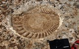 El Torcal  - Španělsko - Andalusie - NP El Torcal, v jurském moř žilo mnoho amonitů a jejich zkameněliny se dochovaly dodnes