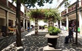 Madeira, ostrov věčného jara a festival květů 2022 - Madeira - Funchal, vnitřní nádvoří (patio) tržnice Mercado dos Lavradores