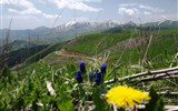 Daleké země a exotika - Arménie - Selimský průsmyk také nazývaný Vardenyats