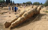 Agrigento - Itálie - Sicílie - Agrigento, chrám Dia, telamoni (Atlasové), 7,65 m vysocí, 6 jich bylo na průčelí pod kladím, zachováni částečně 2-3