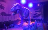 Albertopolis - Anglie - Londýn - Britské muzeum, sugestivní model Tyranosaura na nočním lovu se pohybuje