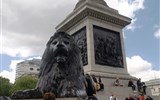 Trafalgarské náměstí - Anglie - Londýn - Trafalgarské nám, Nelsonův sloup, lvi přidáni 1867