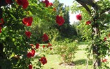 Vídeň po stopách Habsburků, Schönbrunn i Laxenburg a Baden, slavnost růží a historické zahrady 2021 - Rakousko - Baden - největší rosarium v Rakousku