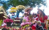 Madeira, ostrov věčného jara a festival květů 2022 - Portugalsko - Madeira - květinové slavnosti, účastní se celé rodiny, včetně těch nejmenších