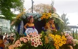 Madeira, ostrov věčného jara a festival květů 2023 - Portugalsko - Madeira - květinové slavnosti, obojí kvete