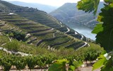 Porto, víno, památky a řeka Douro 2021 - Portugalsko - na svazích nad řekou Douro zraje réva ze které se vyrábí portské víno