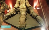 muzejní trojúhelník - Anglie - Londýn - Přírodvědné muzeum, chodidlo Iguanodona, detail