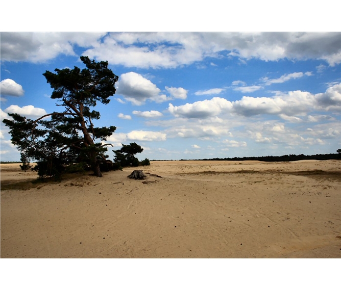 Přírodní parky a ostrovy Nizozemska, Gogh 2023 - Holandsko - NP De Hoge Veluwe (Wiki free)