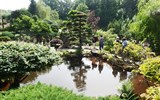 Za zážitky do Českého koutku a za neznámou krásou Sudet 2021 - Polsko - Jarkow - japonská zahrada, získala i ocenění japonského velvyslanectví