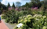 Zahradnický veletrh v Tullnu, Krems, zámek Rosenburg a Kittenberské zahrady 2023 - Rakousko - Tulln - Zahradnický veletrh, Terapeutická zahrada