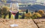 Milano, Turín, gastronomické pochoutky kraje Piemont 2022 - Itálie - Lombardie - ochutnávka vín