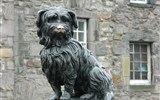 Edinburgh, letecký eurovíkend, opatství na řece Tweed, Rosllynská kaple a krásy Skotské vysočiny 2024 - Velká Británie - Skotsko - Edinburgh - Greyfriarský hřbitov s pomníkem věrného psa Bobbyho