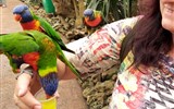 Přírodní parky a ostrovy Nizozemska, Gogh a Amsterdam - De Orchideën Hoeve - tropický ráj kde můžete i krmit papoušky