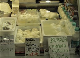 Itálie v Modeně na tržnici nabízí originální mozzarellu z bůvolího mléka přímo i Kampánir
