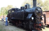 Vlakem za poznáním - Rakousko - Raukousko - Steyrtallbahn - lokomotiva 498.04, původně o rozchodu 760 mm, upravená na zdejších 900 mm