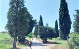 Pěšky po kraji Toskánsko, údolí UNESCO Val d'Orcia 2023 - Itálie - Toskánsko - na cestě z Gambassi Terme do San Gimignano (foto M.Dosedla)