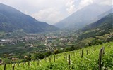 Pohádkové Dolomity 2024 - Itálie - Bolzáno, město v objetí vinic, klima je tu subtropické