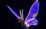 Adventní Drážďany - festival štol - světelné zahrady 2023 - Německo - Pillnitz - Christmas Garden, létají tu i motýli