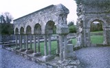 Irsko - Irsko, Mellifont Abbey