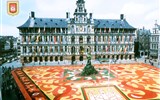 Amsterdam a Brusel, Gogh, Rembrandt a slavnost lodí - Belgie - Antverpy- na náměstí Grote Markt se rozprostře každoročně květinový koberec