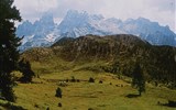 Zahrada Dolomit 2024 - Itálie, Dolomity, Monte Cristallo