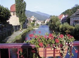 Alsasko,Schwarzwald, Vogézy, zážitky na vinné stezce 2021 Alsasko Francie -  Alsasko - městečko Thann