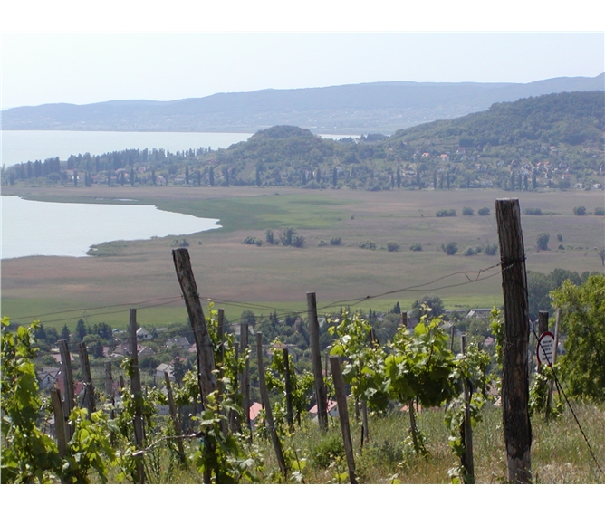 Wellness Silvestr v lázních Hevíz - Maďarsko - Balaton - vinice nad jezerem