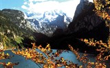 Krásy Solné komory 2021 - Rakousko - Alpy - podzim přichází v horách velmi brzy