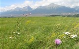 Tatry za přírodou a termály po železnici 2023 - Slovensko, VysokéTatry, panoráma