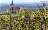 Znojmo, NP Podyjí, příroda, zámky a víno s výletem do Rakouska 2023 - Česká republika - kolem Znojma jsou rozsáhlé vinice