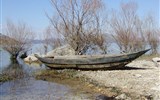 Skadarské jezero - Černá Hora, Skadarské jezero