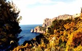 Mallorca, přírodní krásy a kulturní památky 2024 - Španělsko, Mallorca