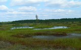 Národní parky a zahrady - Estonsko - Pobaltí - Estonsko - rašeliniště Lahemaa