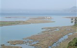 Albánie - Albánie - Skadarské jezero je lemováno mokřinami a rákosinami
