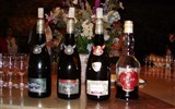 burgundská vína - Francie, Burgundsko, víno