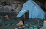 Termální lázně Orosháza - Maďarsko, Oroshazy, bazén s modrým slonem
