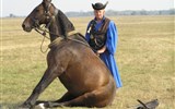 Hortobágy - Maďarsko, NP Hortobágy, drezura koní