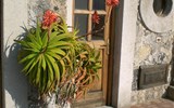 Ischia - Itálie - Ischia - kouzelná zákoutí vesniček na ostrově