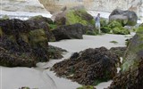 Normandie, zahrada Alabastrového pobřeží - Francie, Normandie, malebná pláž za odlivu
