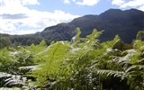 Národní parky a zahrady - Velká Británie - Velká Británie, Skotsko, jezerní kraj The Trossachs
