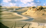 Cestou polských králů až k Baltu - Polsko - pobřeží Baltu - Slowinský národní park to je vítr a písek