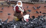Turecko ve znamení půlměsíce - Turecko - Istanbul - Bayezidovo náměstí s holuby