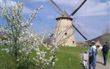 skanzen - Maďarsko - skanzen Szentendre, větrný mlýn